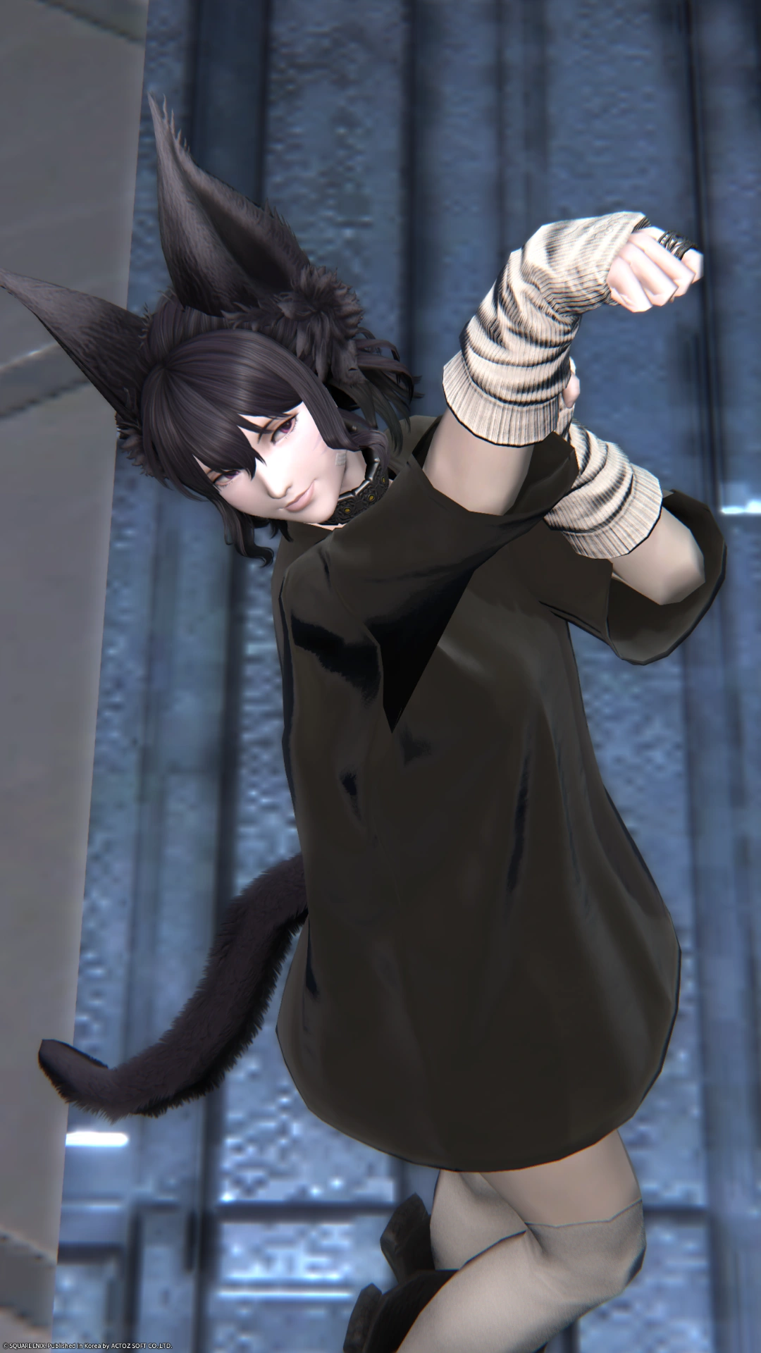 🐈‍⬛ - 3