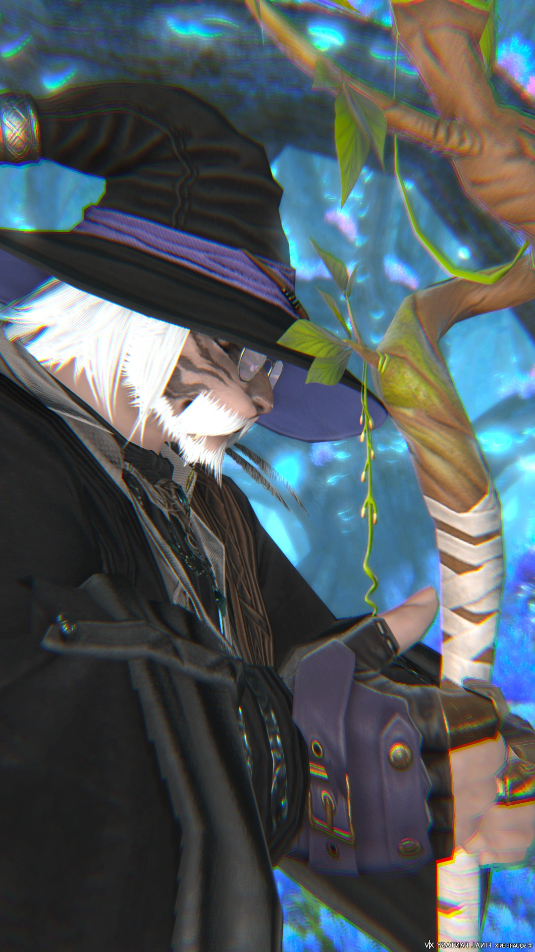 Wizard on a Long Journey - 2