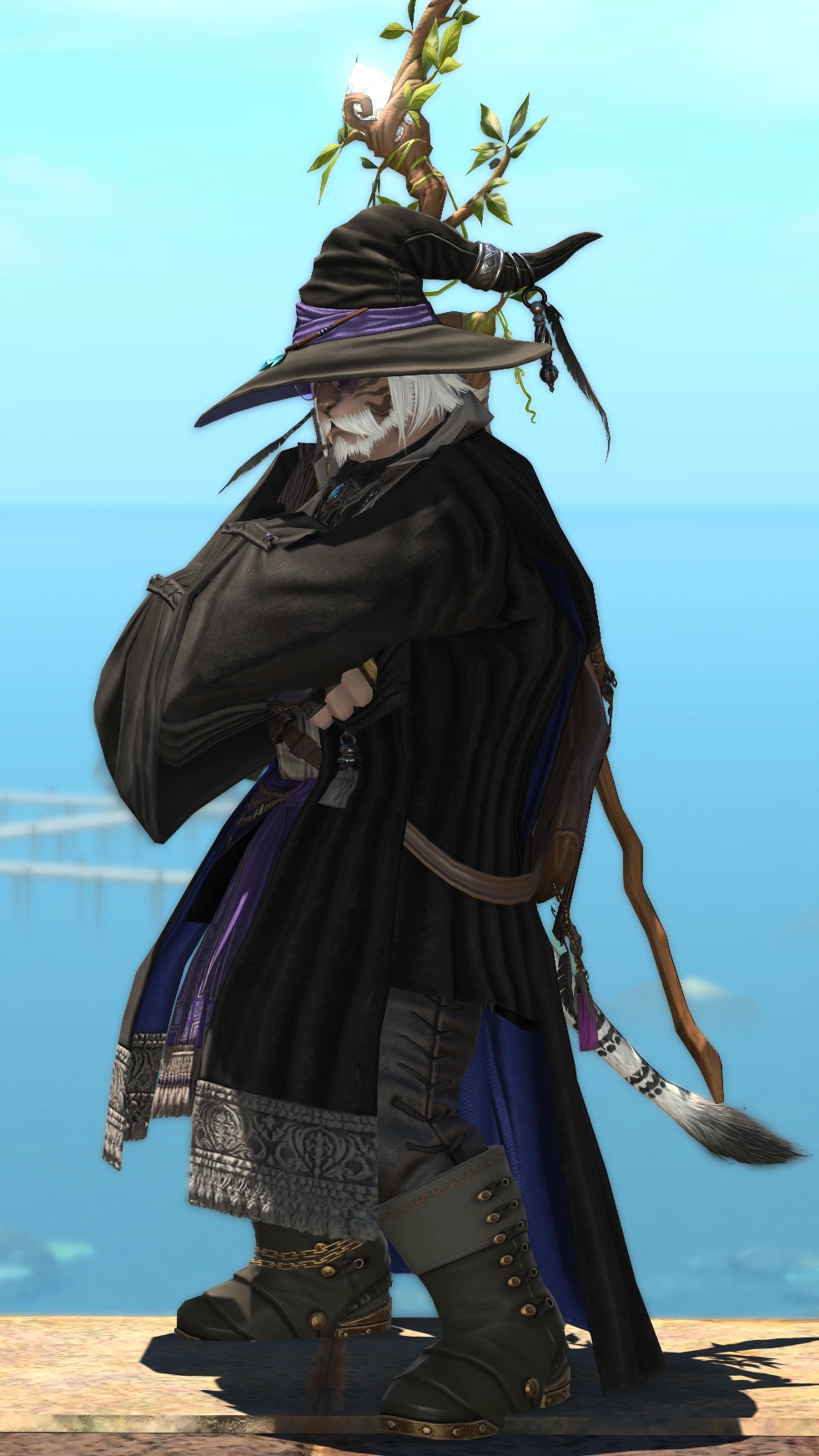 Wizard on a Long Journey - 3