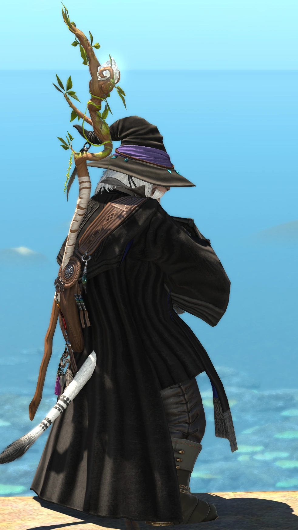 Wizard on a Long Journey - 4
