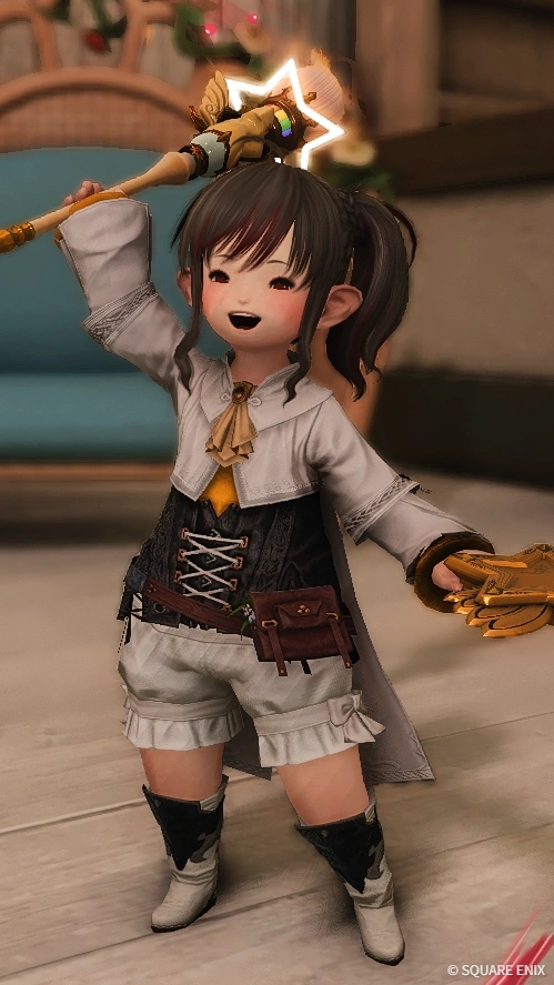 ピクトマンサーとチョコボの筆 - 2