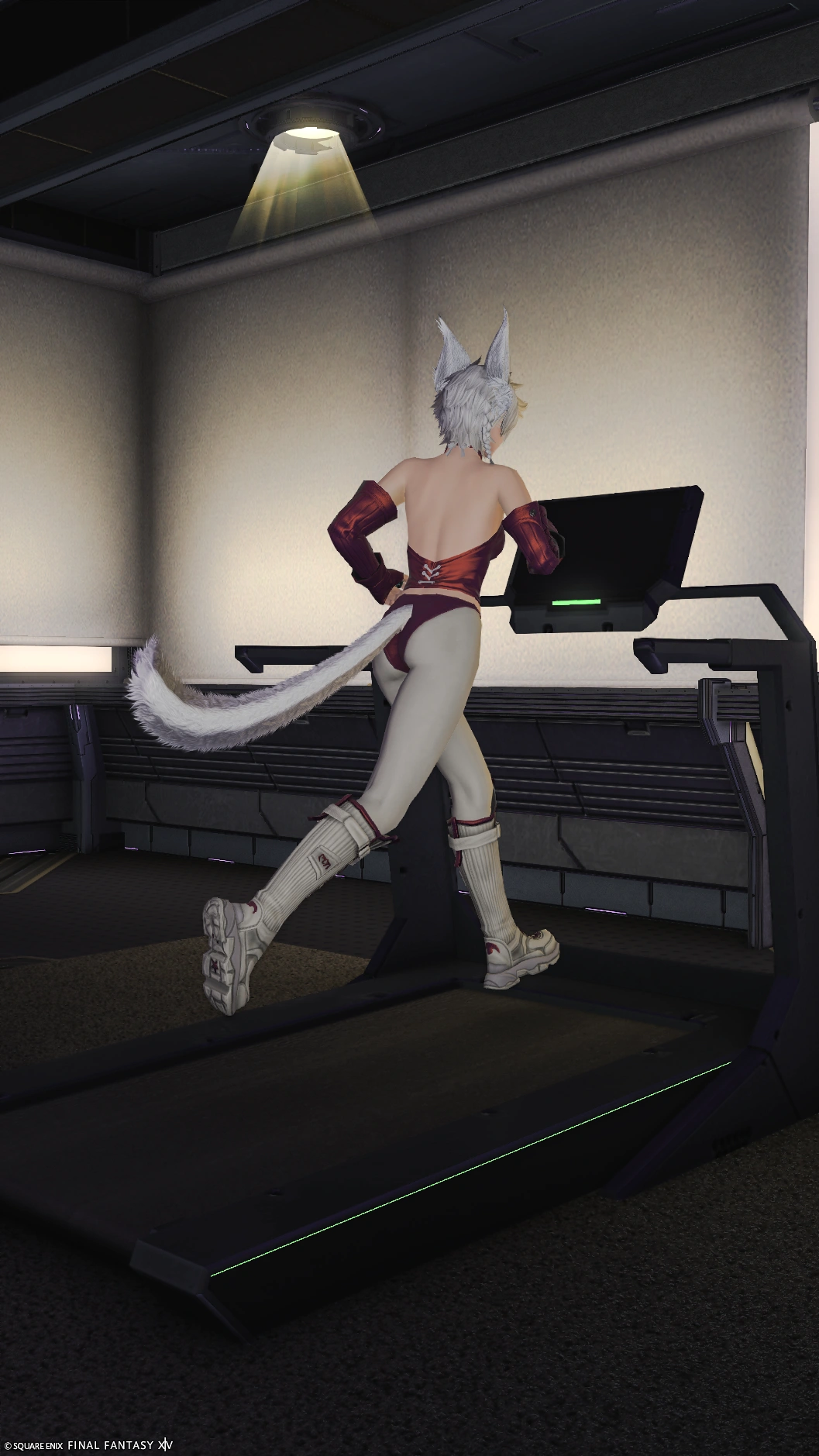 アルカディアの床を舐めた猫 - 2