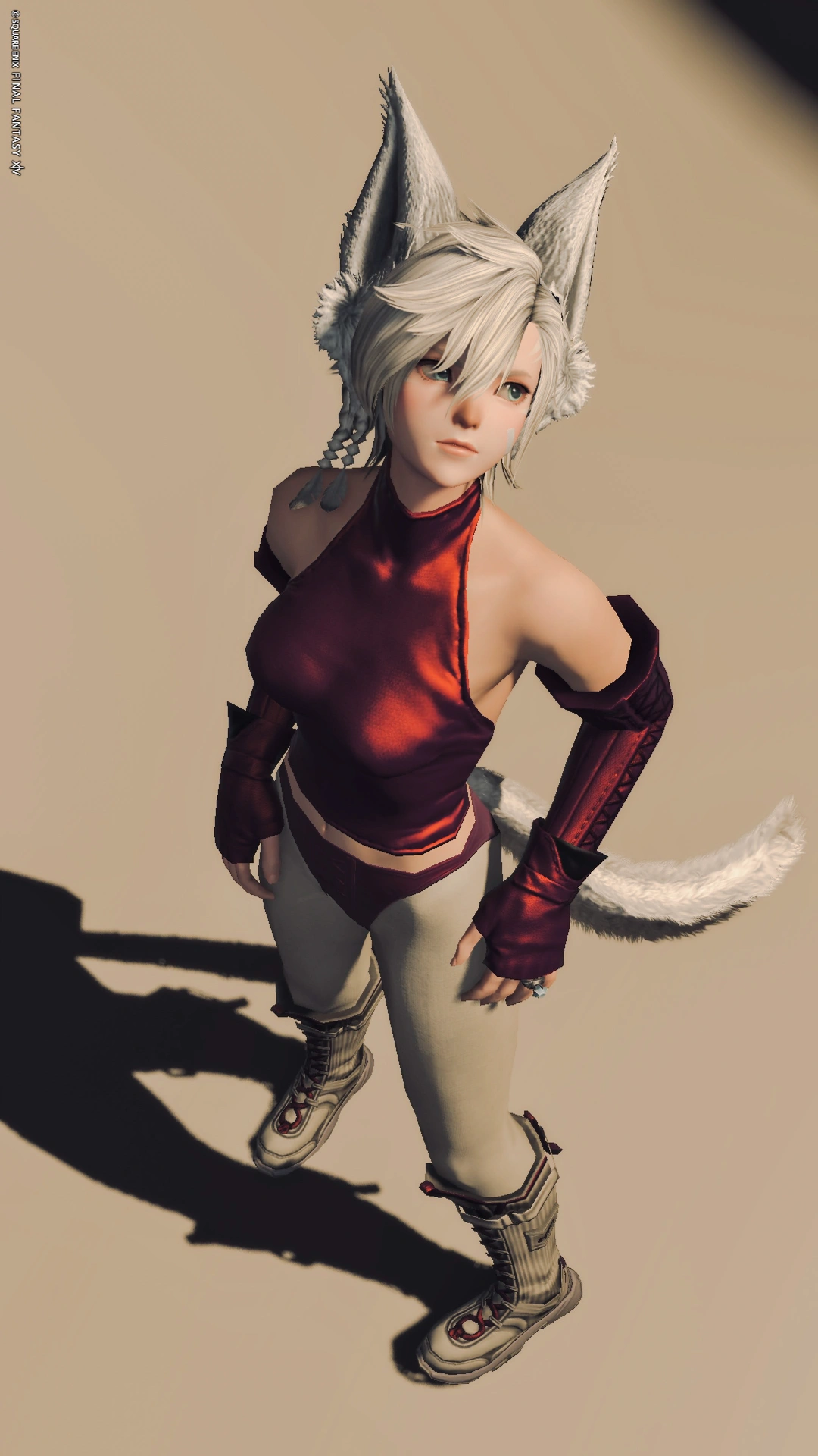 アルカディアの床を舐めた猫 - 3