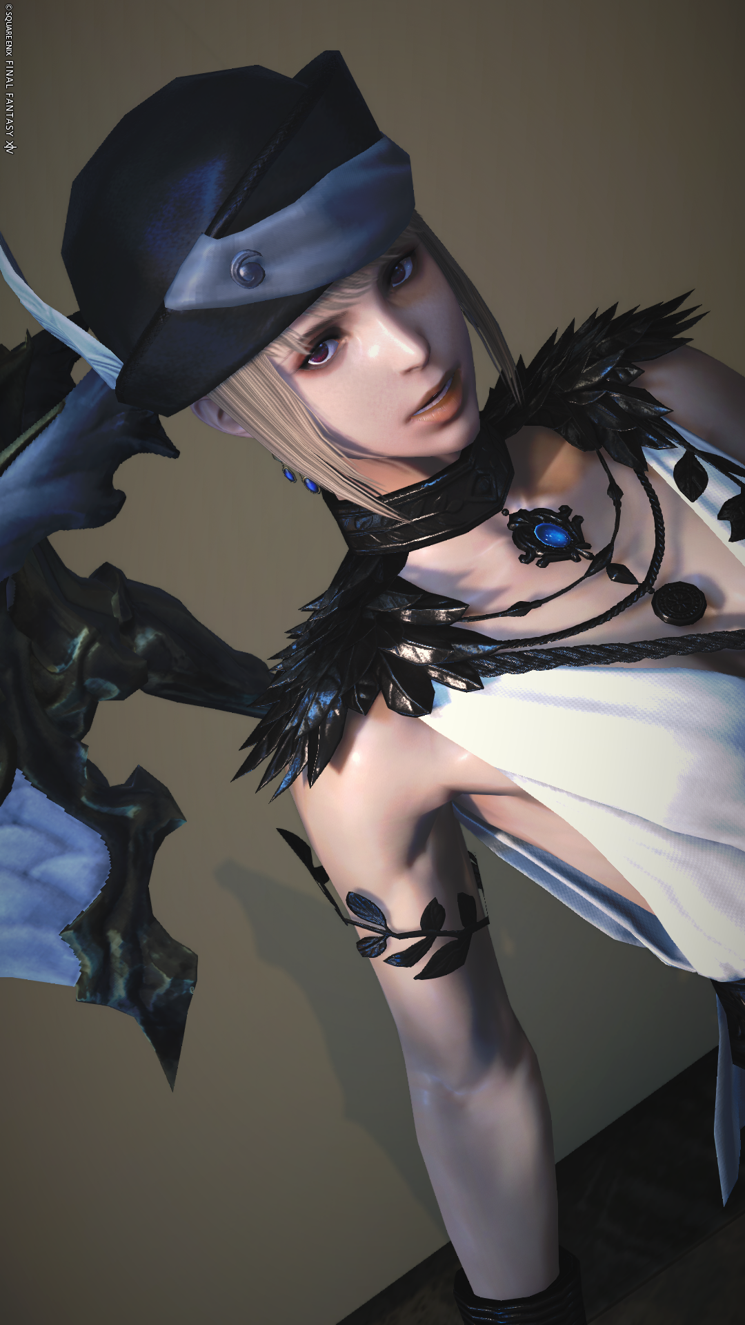 ミソスヘラルド・キトン - 2