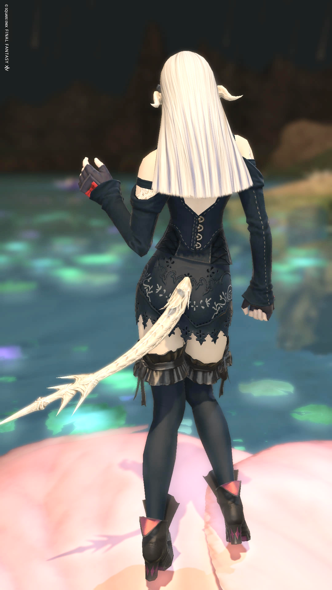 軽やかな黒魔 - 3