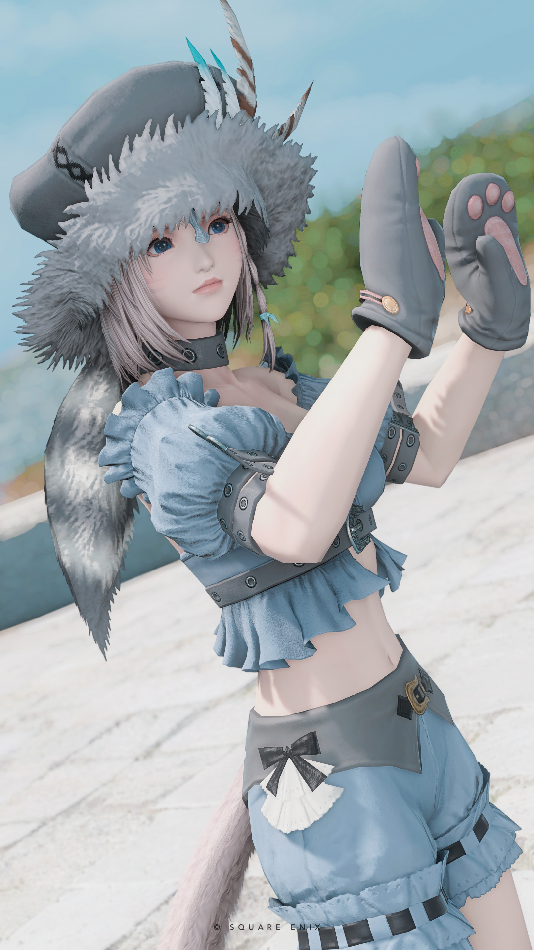 ブリティッシュショートヘア - 3