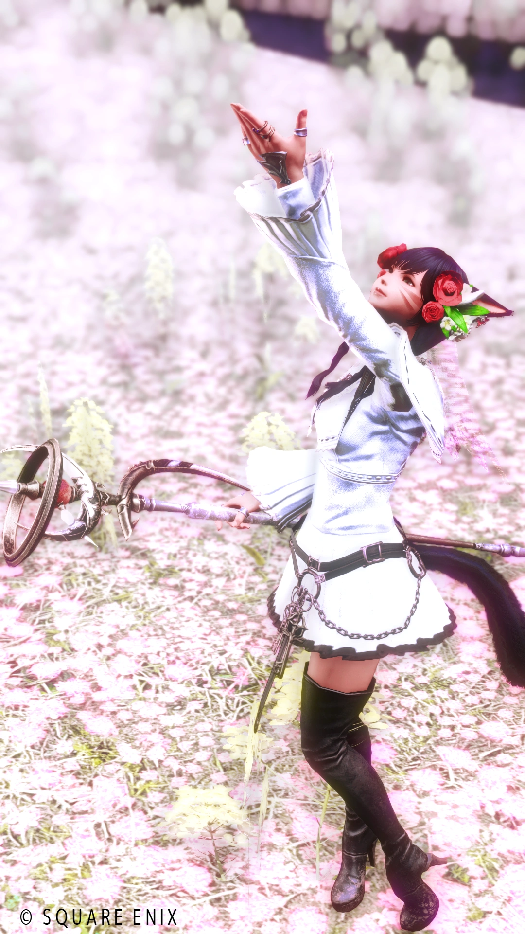 🌸花畑🌸 - 3