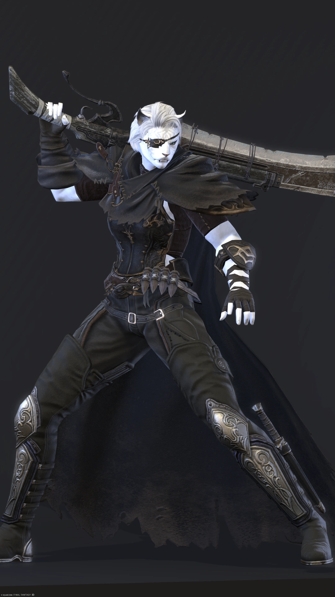 The Solitary Adventurer - 4