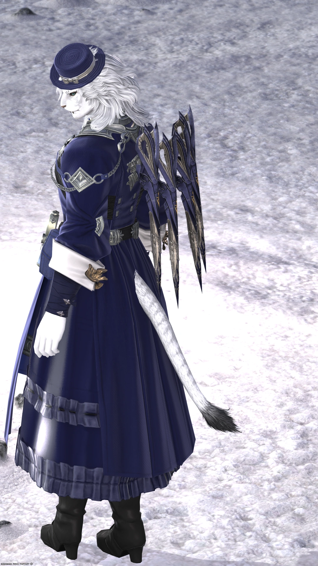 Midnight blue sage - 2