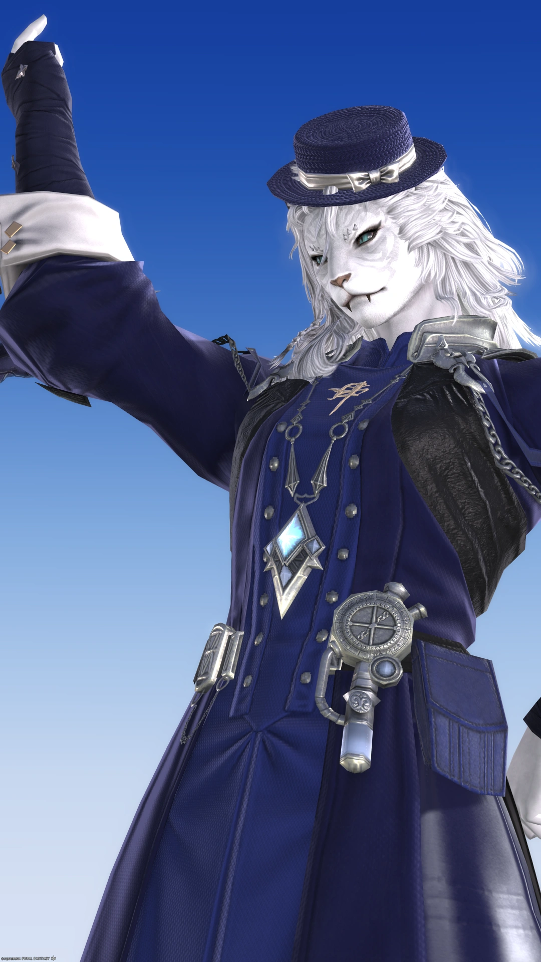 Midnight blue sage - 4