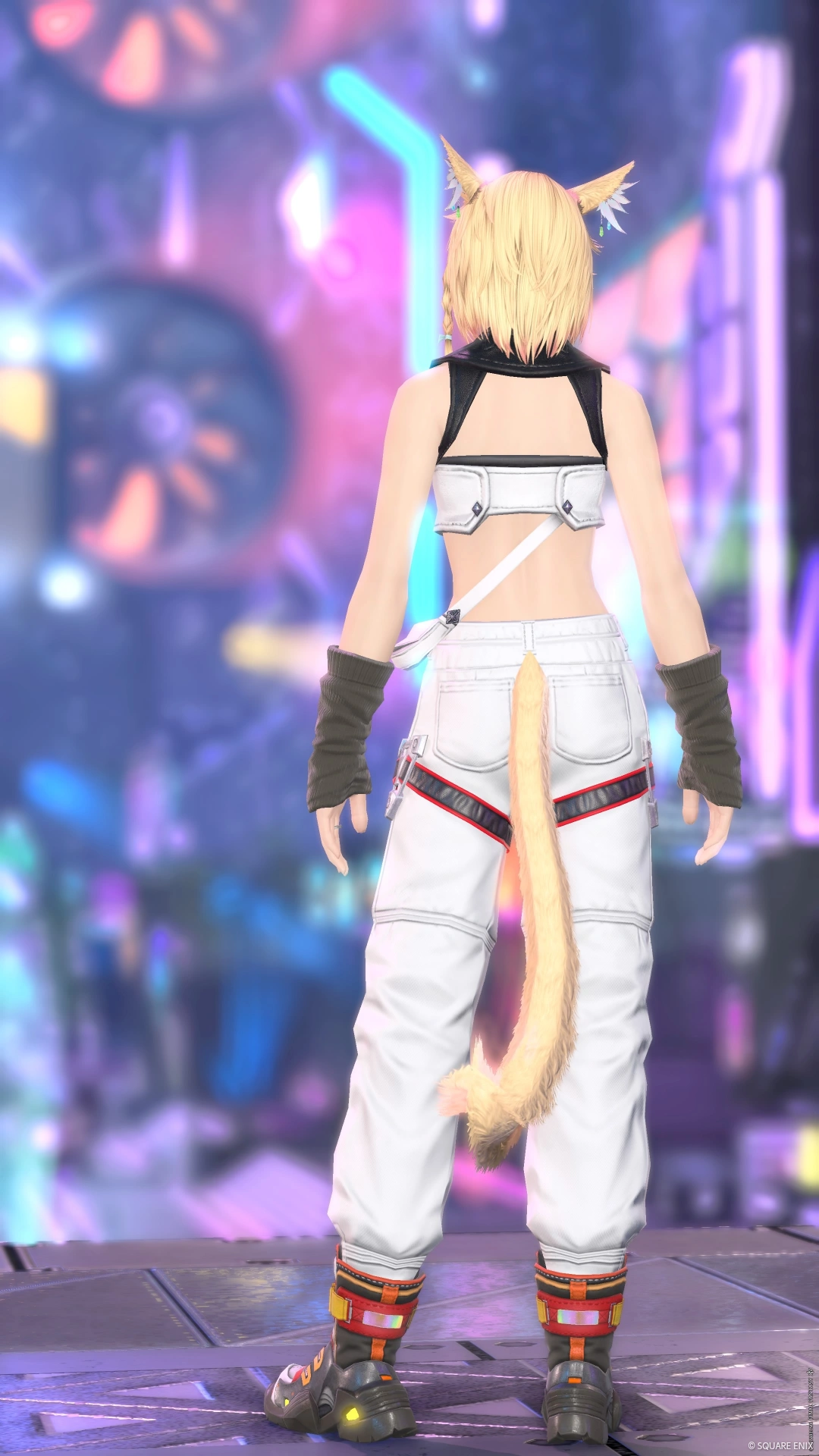 アルカディアの挑戦者 - 2