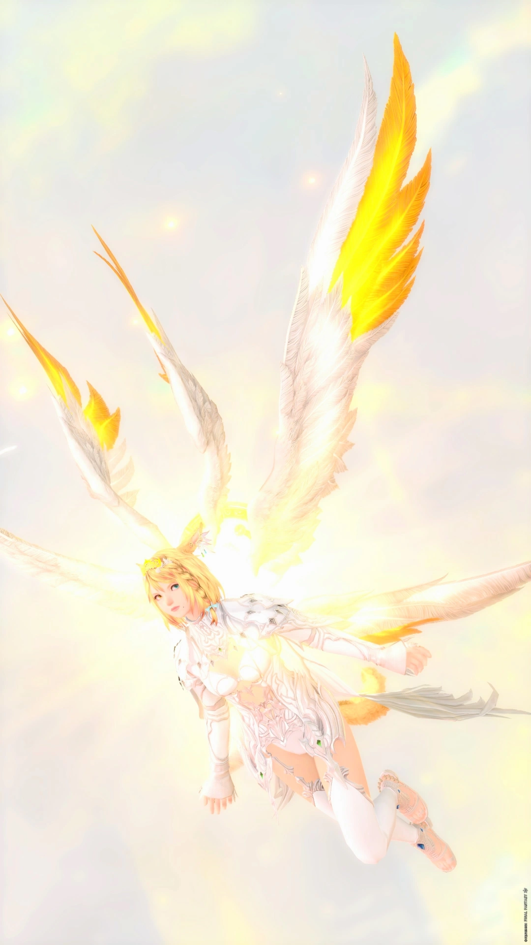 【Legacy of ANGEL】 - 2