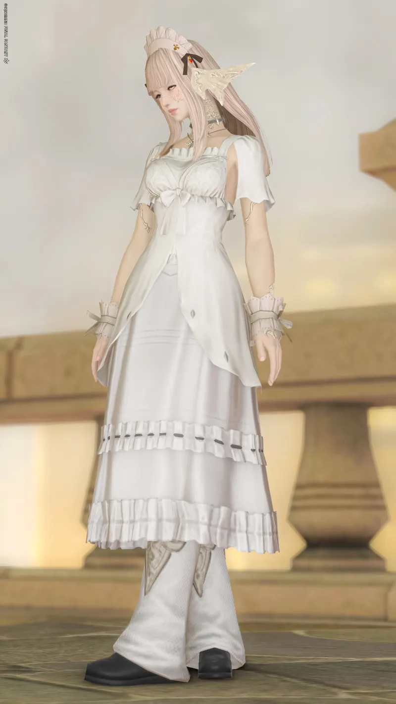 🕊️
