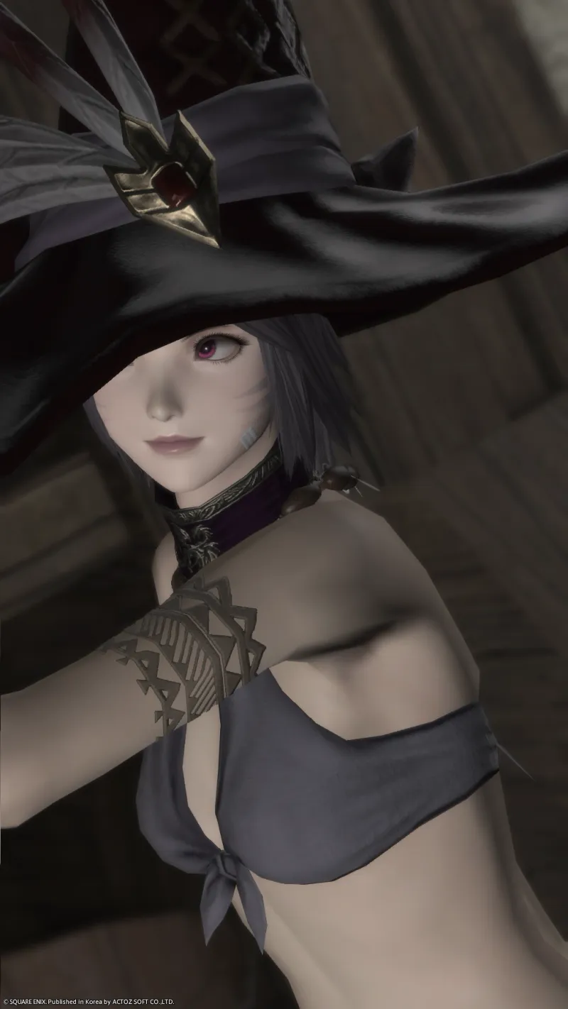 🐈‍⬛ - Alt image