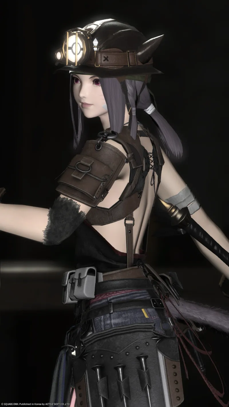 🐈‍⬛ - Alt image