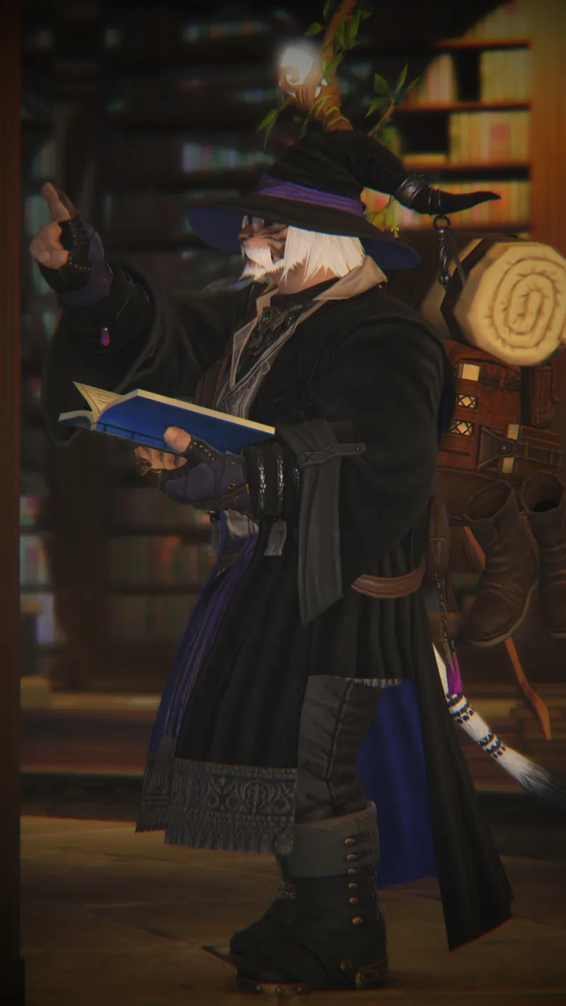 Wizard on a Long Journey