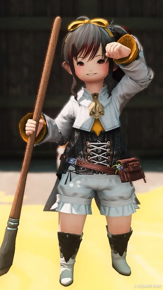 ピクトマンサーとチョコボの筆