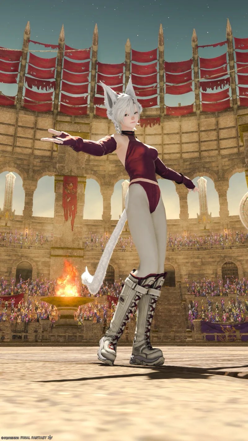 アルカディアの床を舐めた猫