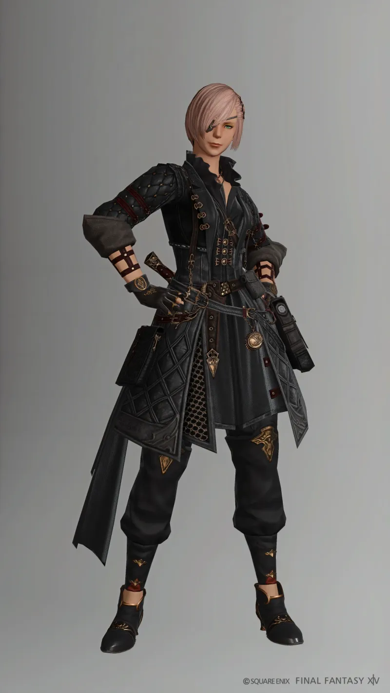 ネオキングダムストライカー胴+アレキヒーラー脚