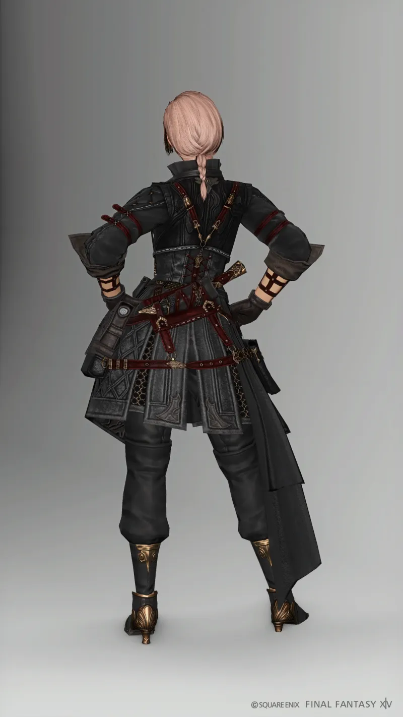 ネオキングダムストライカー胴+アレキヒーラー脚 - サブ画像