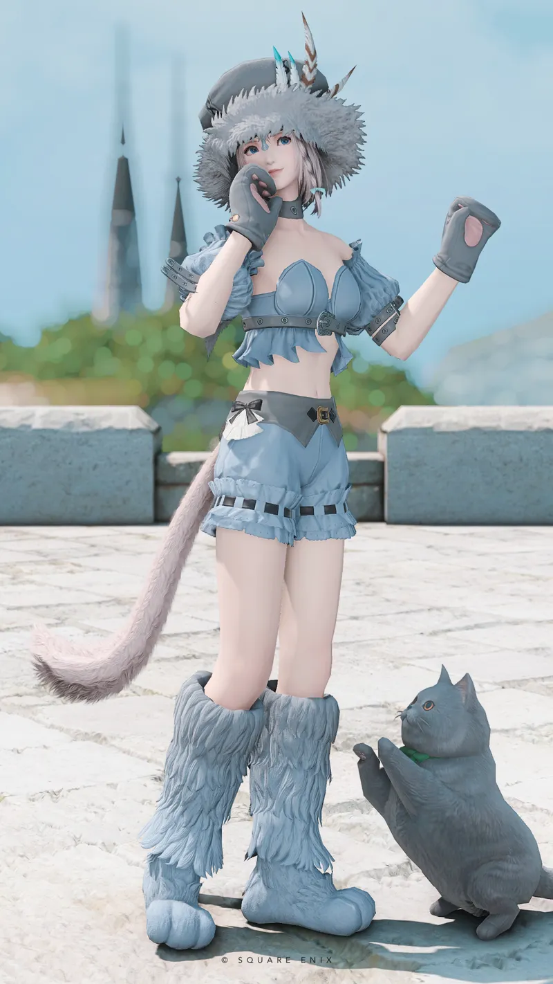 ブリティッシュショートヘア