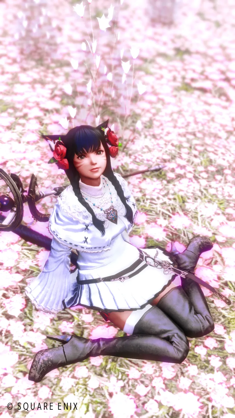 🌸花畑🌸