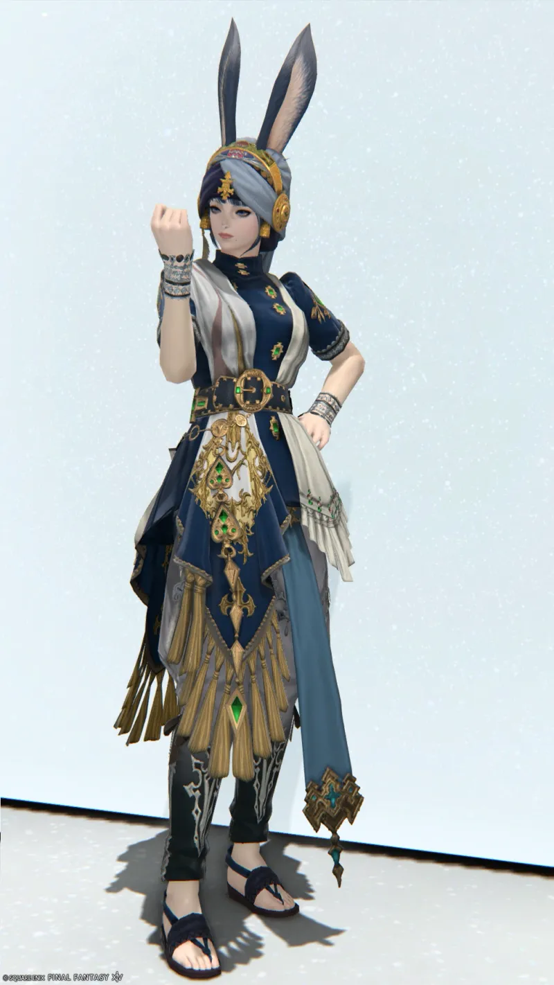 宝石に愛された者