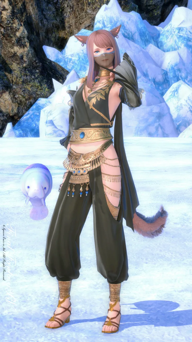 どこでもアラビアン