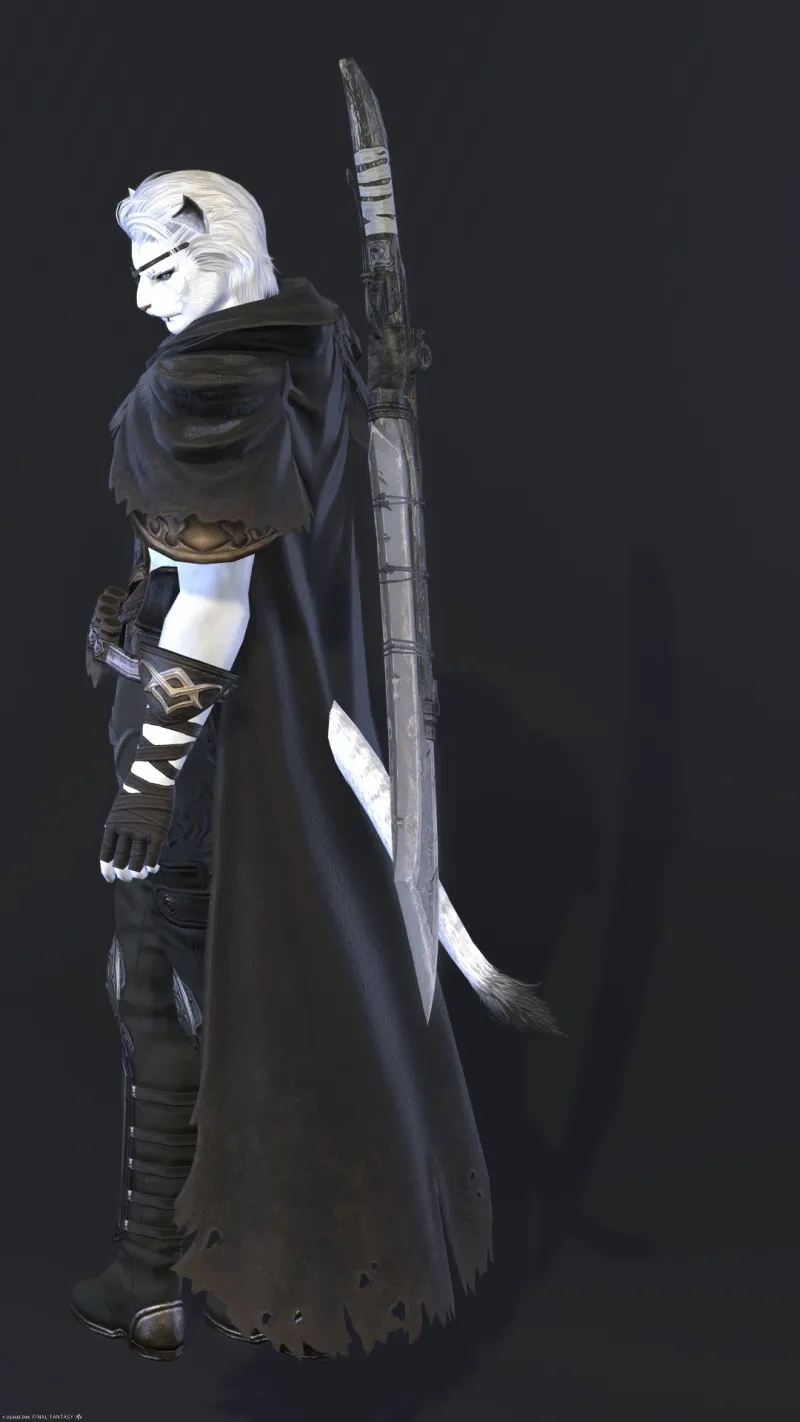 The Solitary Adventurer - Alt image