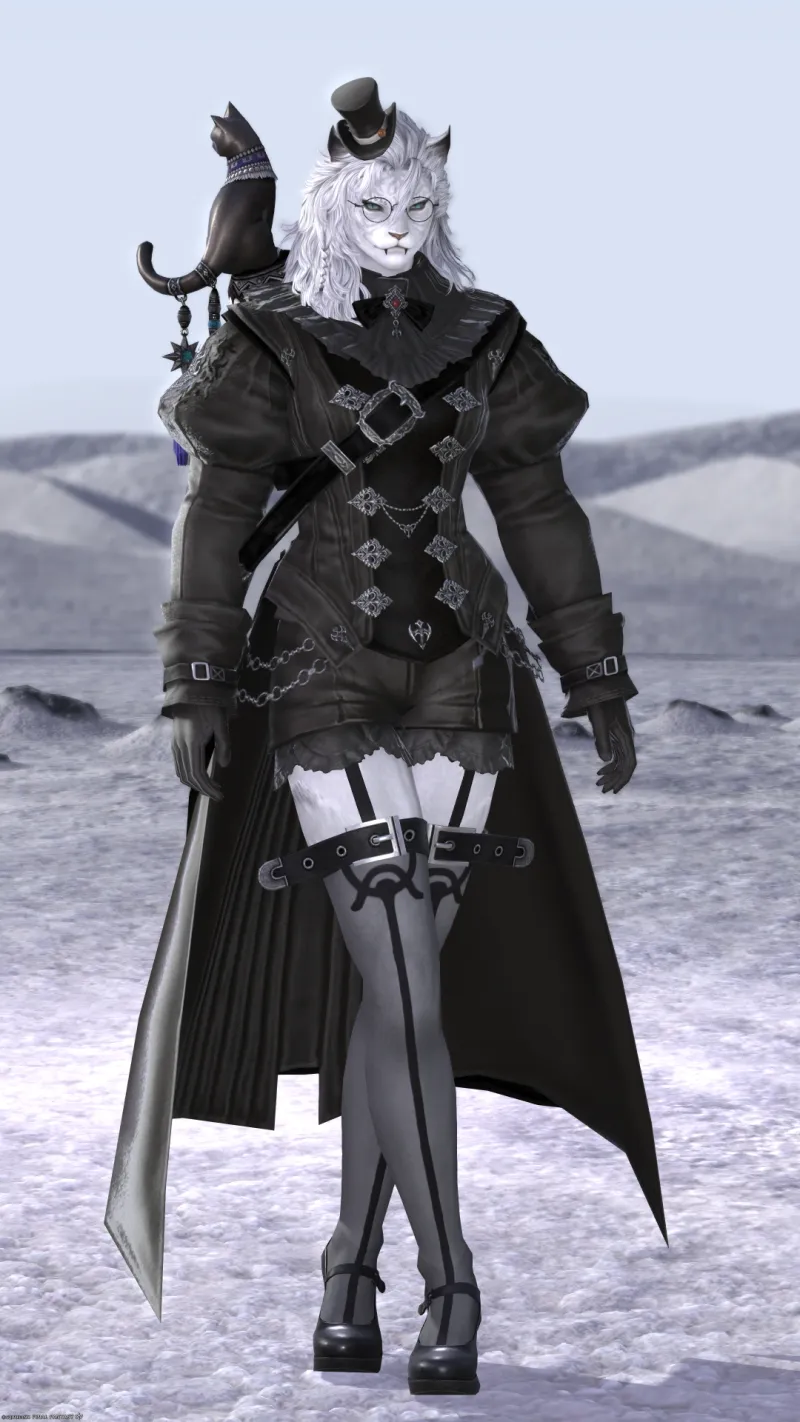 Duelist's Tabard × Black mage