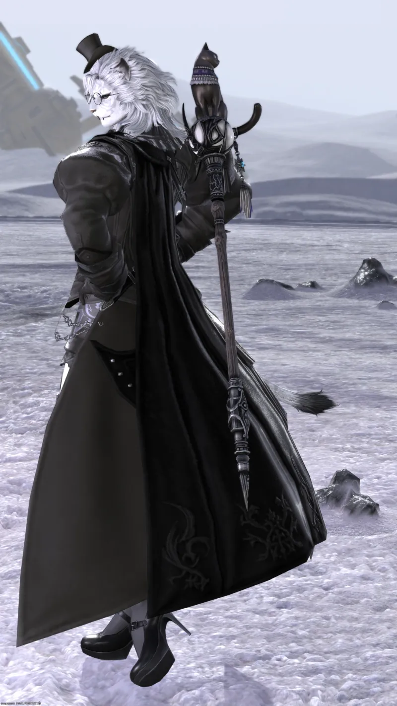 Duelist's Tabard × Black mage - 서브 이미지