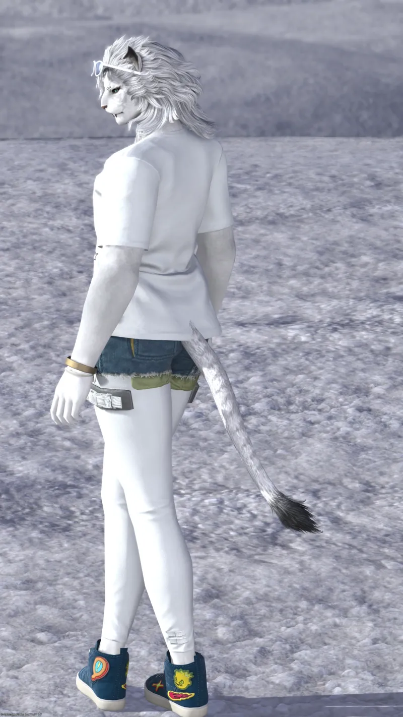Summer Casual Neo Citizen - サブ画像