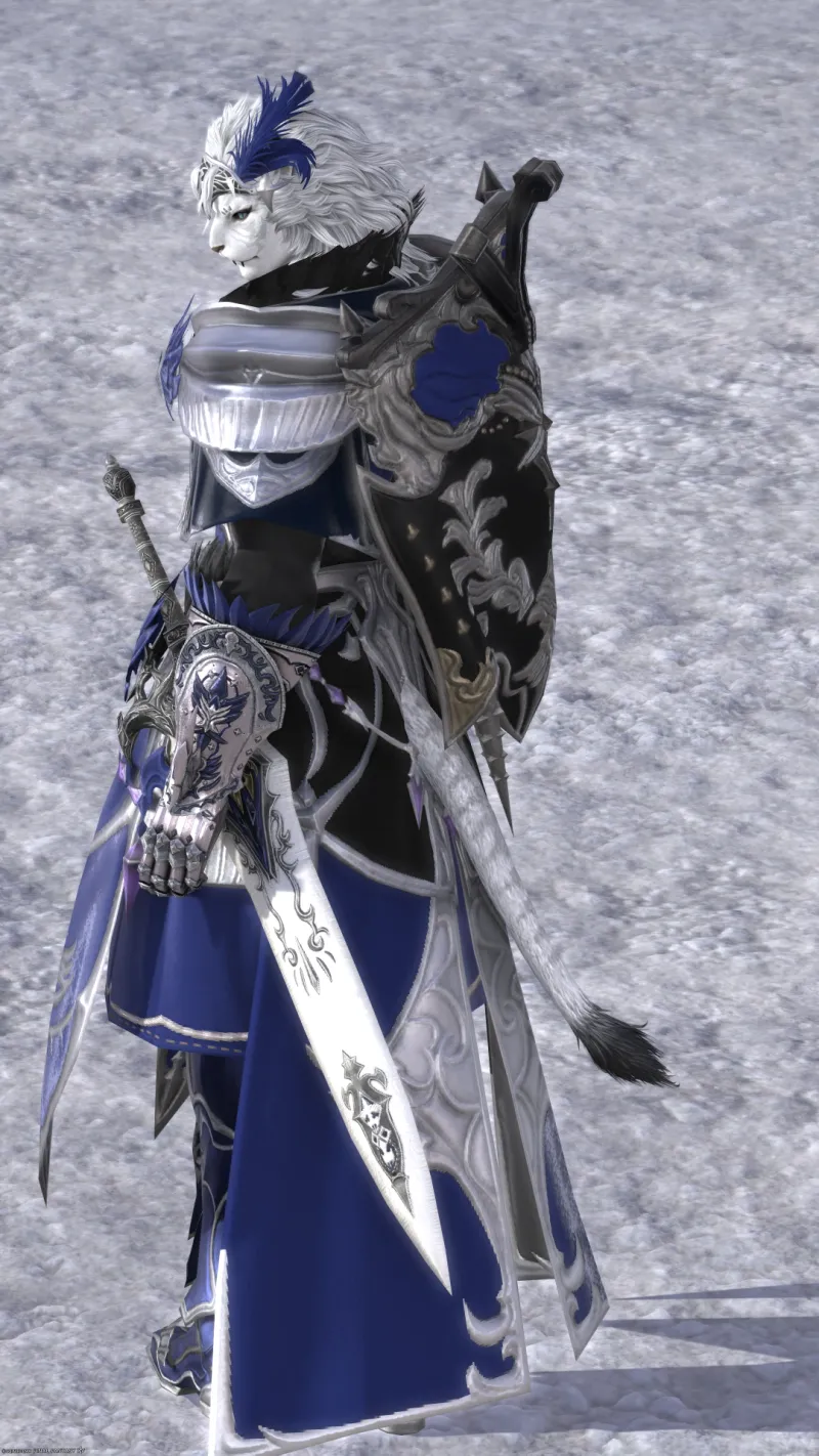青銀の騎士 - サブ画像