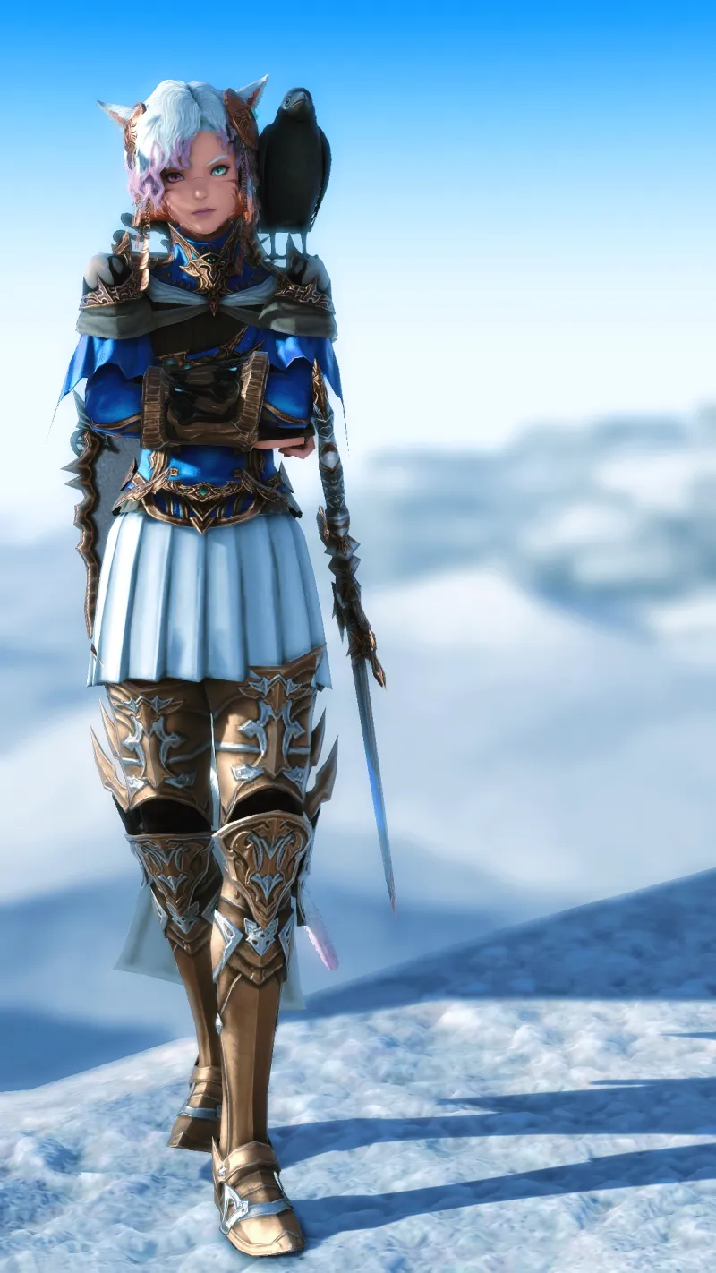 騎士