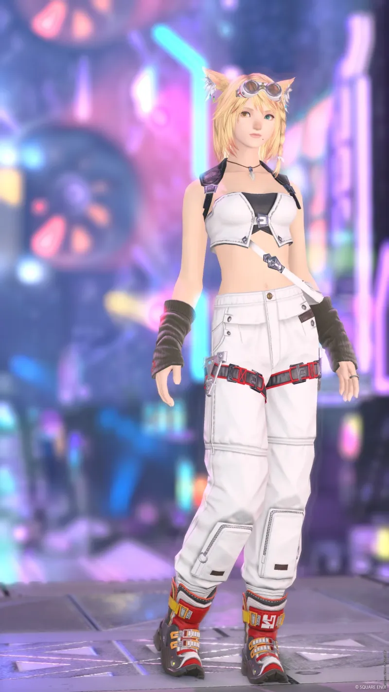 アルカディアの挑戦者